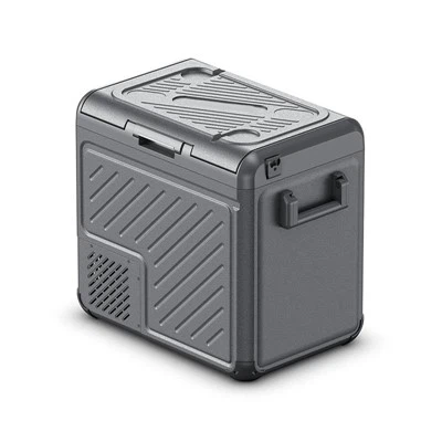 Mini nevera portátil de 55L para coche